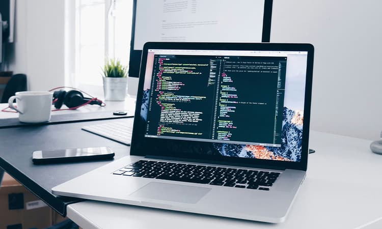 Web Development
