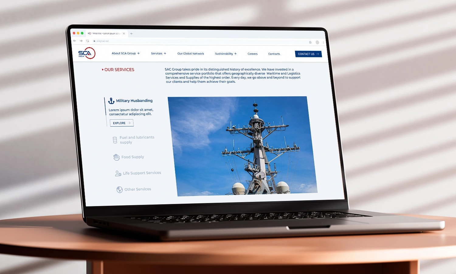 Website development service preview